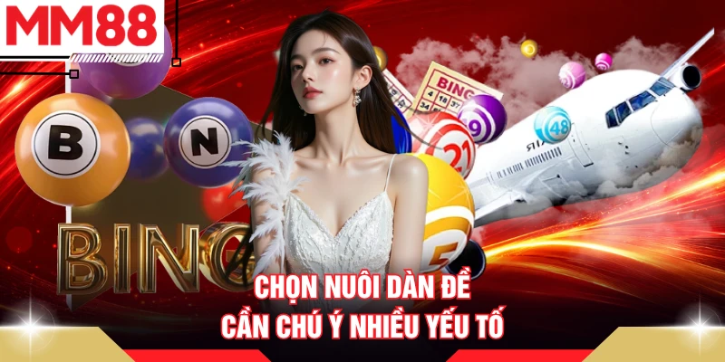 Chọn nuôi dàn đề cần chú ý nhiều yếu tố